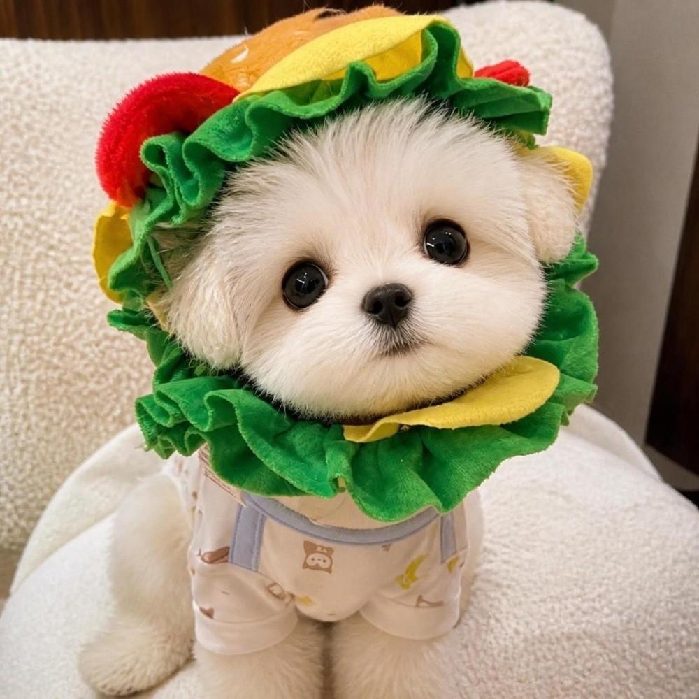 Party Hamburger Pet Burger Hat Cosplay Funny Cat Headgear Cross Dressing Adjustable Dog Costume Hat for Puppy