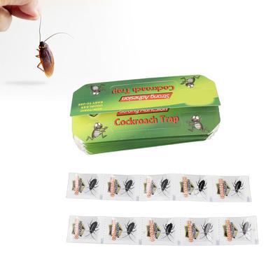 10pcs Cockroach Trap Odorless Easy To Use Cockroach Traps Efficient Portable Roach Repellent Killing Catcher