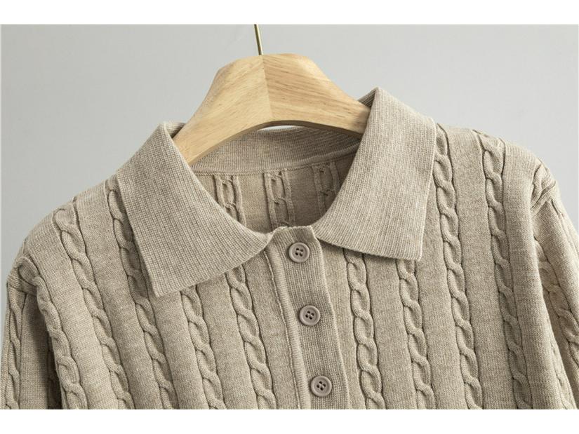 Korean-Style Two-Piece Set: Polo Collar Cable Knit Top & Sweater Skirt for Spring/Autumn