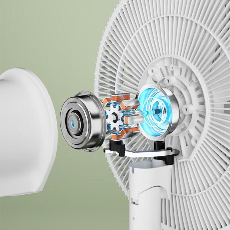 Royalstar FS12-301B Quiet Oscillating Pedestal Fan CN plug (adapter included)