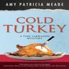 Cold Turkey by Amy Patricia Meade Hardback Book 9781448306558