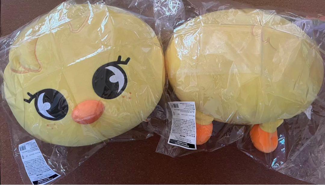 

[USED] straykids Pogari cushion