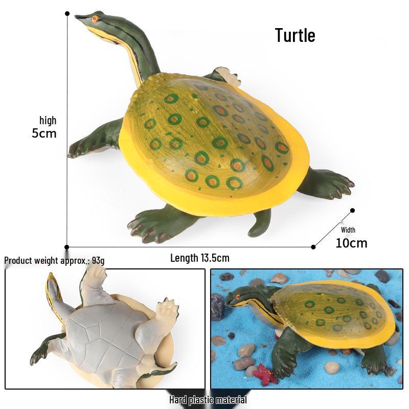 Children's Cognitive Marine Animal Models: Sea Turtle and Tortoise Toys