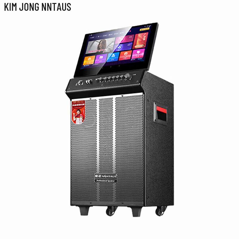 NINTAUS Smart Karaoke & Portable PA Speaker Systems