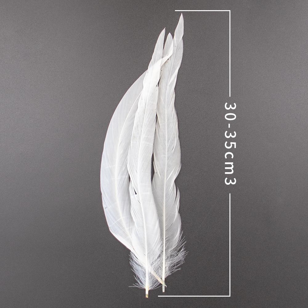 10Pcs/Lot Natural White Pheasant Feathers Wedding Home Party Decoration Length Rooster Plumes Diy Creative Carnival Crafts10-18"