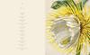 The World of Botanical Art: A Collection of Masterpieces of Botanical Illustrations