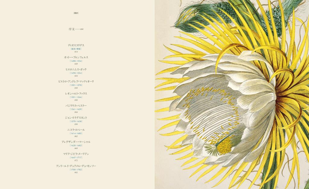 The World of Botanical Art: A Collection of Masterpieces of Botanical Illustrations