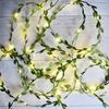 Green Leaf Fairy Lamp Ivy Leaf String Lamp Warm White Suitable for Interior Decoration of Families,Parties,Weddings,Christmas and New Year Festivals