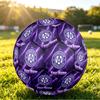 Personalized Size 5 Football Austria Wien FC Pattern Outdoor Game Sports Ball Gift