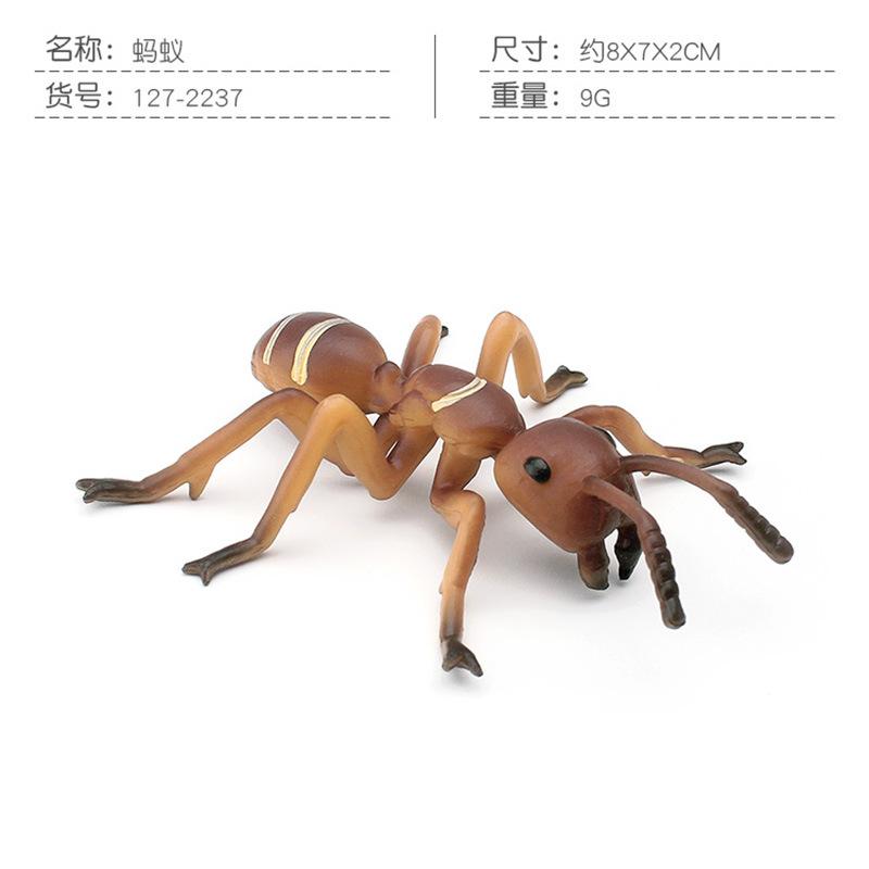 Simulation Of 16 Insects, Animal Models, Butterflies, Beetles, Spiders, Ants, Dragonflies, Cockroaches, Oxen Shields, Bugs, Static Ornaments