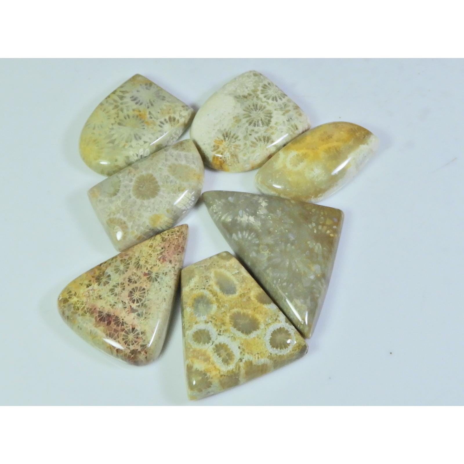 

07Pcs Natural Fossil Coral Fancy Cabochon Loose Gemstone Lot 164Cts. A-741