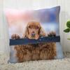 Spaniel Animal Pillowcase  Modern Home Living Room Decoration