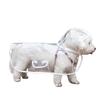 Transparent Waterproof Dog Raincoat Ideal for Small To Medium Breeds Like Poodles and Teddies All-Weather Protection for Your Pet