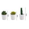 Desktop Succulent Set Simulation Plant Decor Home Office Decor