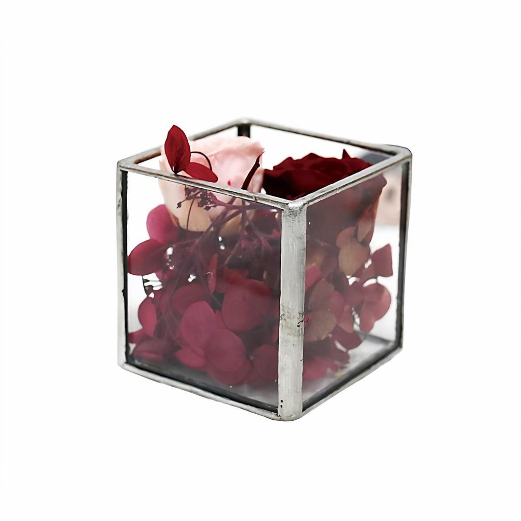 Square Transparent Glass Jewelry Box - Ring, Ear Stud, Earring, and Necklace Organizer