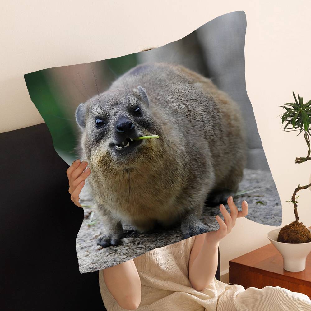 Rock Hyrax Animal Cushion Cover Pillow Cover Decor Pillowcase Printed Cushion Case for Couch