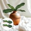 Faux Orchid Leaves, 2 Pack 8 Inch Artificial Phalaenopsis Stems Leaf Real Touch Orchids Leaf Artificial Cymbidium Flower Foliage Real Latex Touch