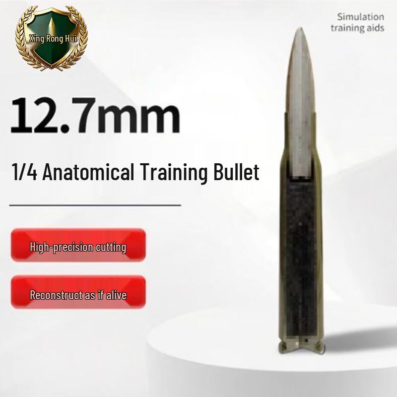 Xing Rong Hui 12.7mm Quarter Anatomy Model