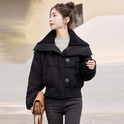 New Down Cotton-padded Clothes for Women's Winter Short Small Jackets Trendy Thickened Cotton-padded Clothes