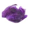 Yousheng 50Pcs Guineahen Feathers Natural Chicken Tail Feathers Bright Colors 4.5-10cm Feathers for Crafts DIY Earrings Dream Catcher Wedding Easter