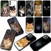 Phone Cover for Apple iPhone 17 16 15 11 Pro XS Max XR 6 7 8 Plus + SE 2020 5 16E Case Cat Meow Lovely Casing