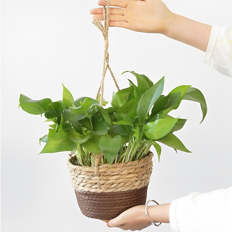 Stroh Hängender Korb Hanfseil Geflochtene Blumenkörbe Topfpflanzen Blumentöpfe