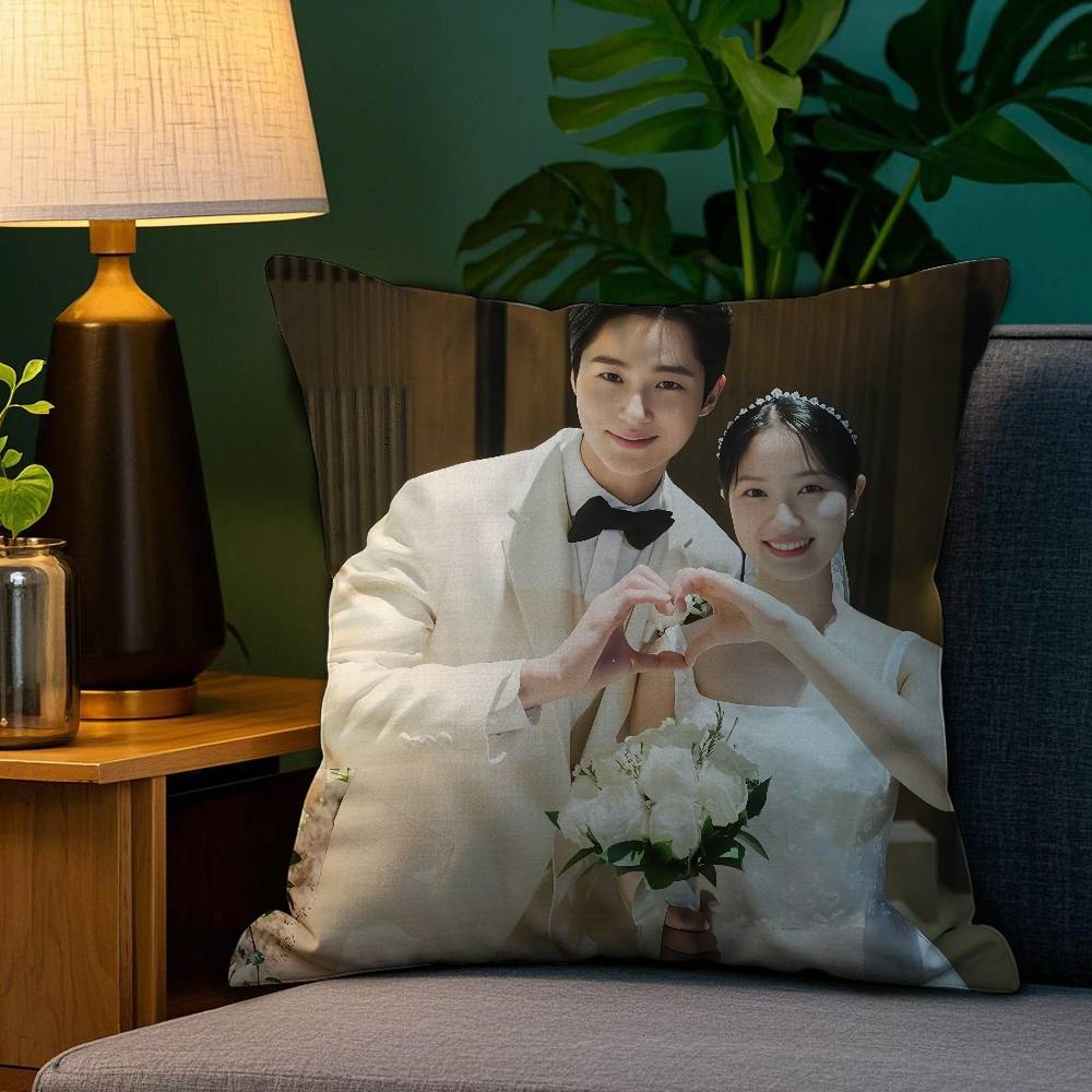 Tv Series L-Lovely R-Runners Pillow Case Anti-Dustmite Pillowcase Invisible Zipper Silky Short Plush Sofa Cushion Cover