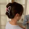 Fashion Pink Gradient Hair Clip Butterfly Bow Large Shark Clip Headwear Accessories for Women
