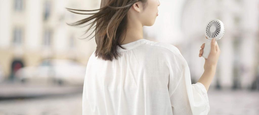 RHYTHM Portable Fan Heat Stroke Made by a Japanese Cool even on Low Quiet Handy DC Double Rotating USB x x Wind Handy Fan 9ZF031RH04 [Energy Saving,