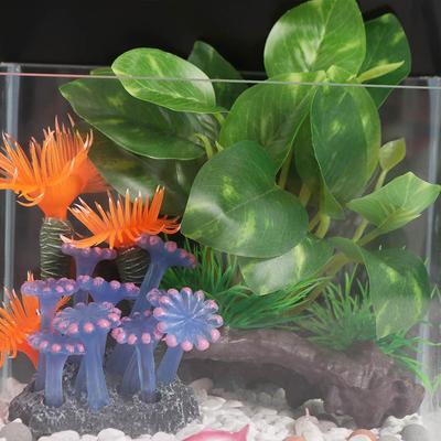 Peixes e animais aquáticos – Decoração de aquário