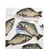 Creative Funny Crucian Carp Shape Pencil Bag Douyin Same Personality Funny Change Korean Version Simulation Crucian Carp Station