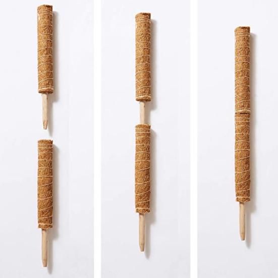 Plant Support Pole Stackable Durable Wooden Coir Moss Totem Pole for Indoor Plant