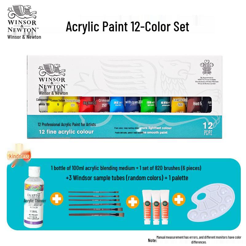 Winsor & Newton 12-Color Waterproof Acrylic Paint Set for DIY Stone, Textile & Wall Painting