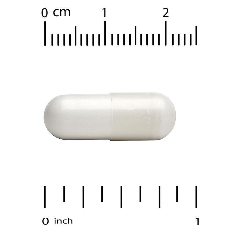 Akkermansia 30B, 60 Veggie Capsules