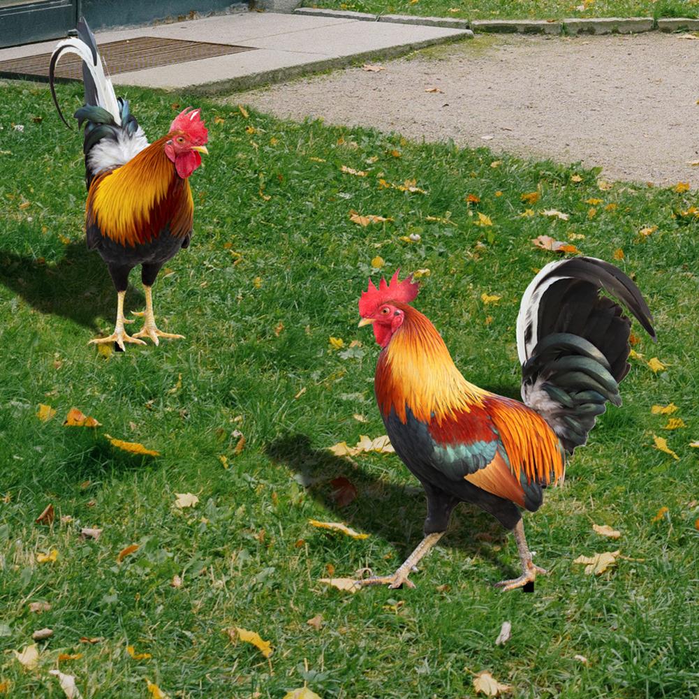 2PCS Chicken Sculpture Ornamental Chicken Fence Sculpture Garden Decorations Weatherproof for Garden Patio Backyard Decoration