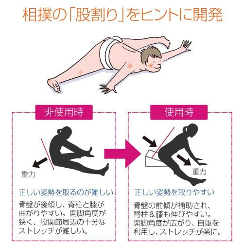 Sante Plus Flexkissen schwarz FC-A402K schwarz