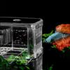 Incubator Shrimp Aquarium Breeder Box Fish Isolation Box Fish Baby Hatchery Fish Breeding Box