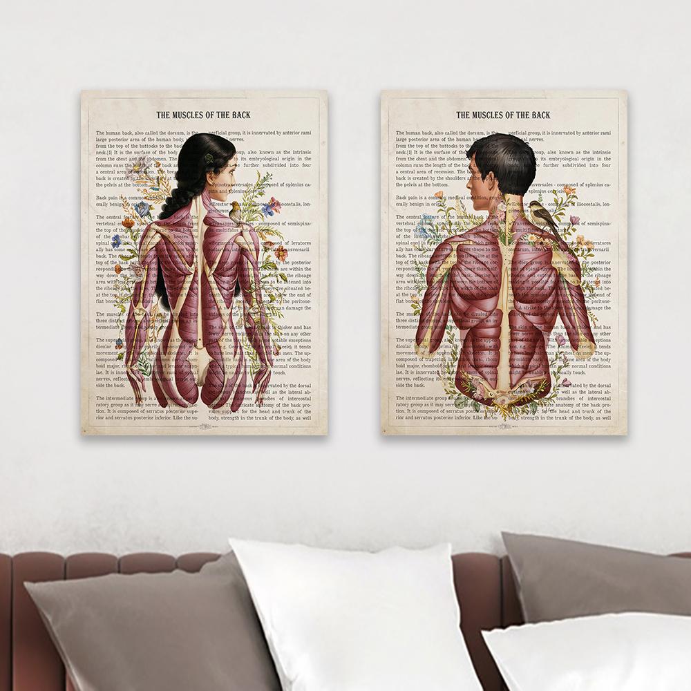 Plakat z nadrukiem mięśni pleców Prezent dla kręgarza Licencjonowany terapeuta masażu Sztuka na płótnie na ukończenie szkoły Dekoracja ścienna do biura