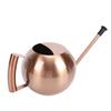 Watering Can with   Spout 1000ml Stainless Steel Round Indoor Plant Watering Can with Detachable Head for Home Garden Flower