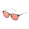 Sunglasses VVD31.GRY