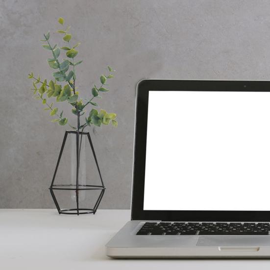 Simulation Eukalyptus, lichtecht, zum Selbermachen, hübsches Blumenarrangement, konservierte Pflanzen, Partyzubehör