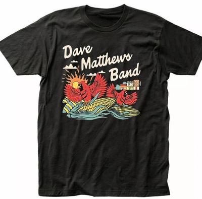 T-shirt de tournée graphique DAVE MATTHEWS BAND, tailles S-4XL