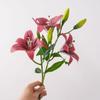 Real Touch 80cm Artificial Lily Flower 3 Heads 3D Printing Fake Lily Bouquet Silk DIY Wedding Bridal Bouquet Living Room Decor