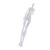 1Pc Exquisite Workmanship Multi-Color Unisex Plastic Doll Body Kids Toys