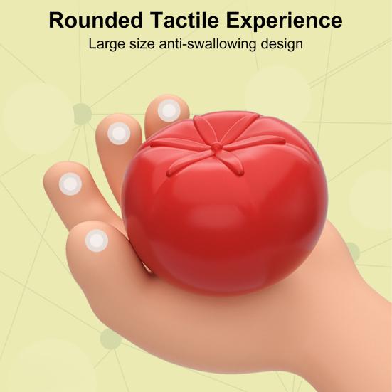 1 Set Rainbow Enhance Fruit Cognitive Toy Set Recognition Color Shape Perfect Sensory Perception for Toddlers