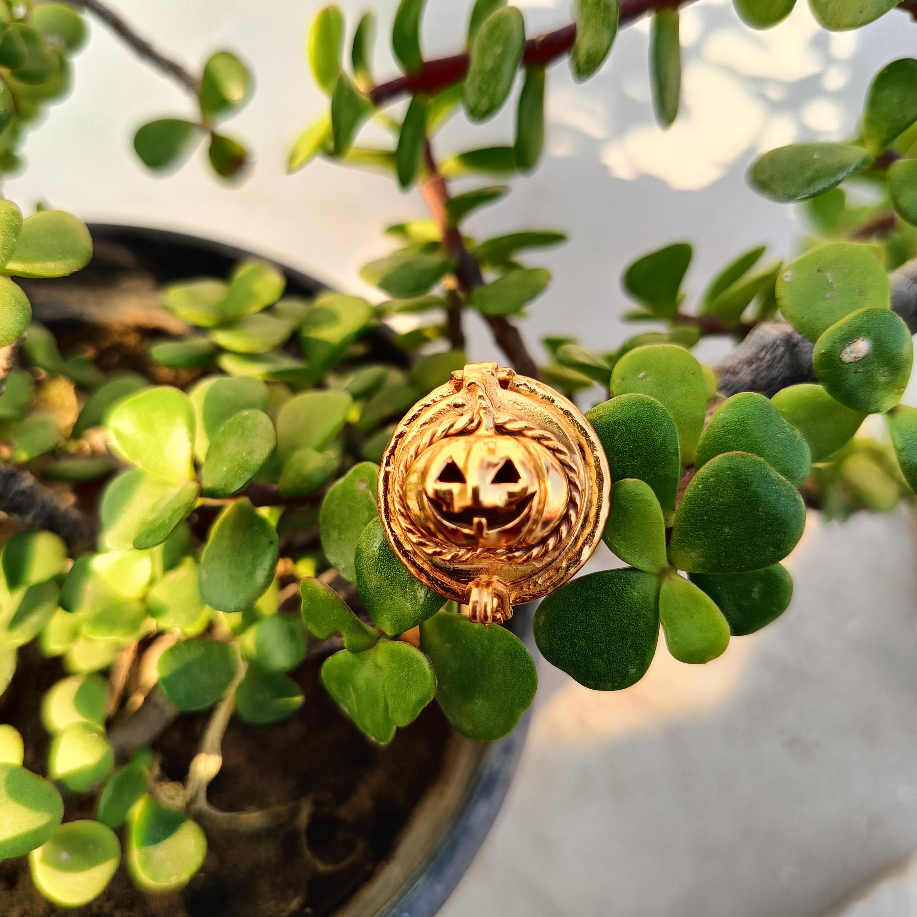 

Кільце з отрутою Pumpkin Face, каблучка з гарбузом-привидом, каблучка ручної роботи з отрутою, подарунок на вечірку на Хелловін, кільце з отрутою в коробці з духами Angry Pumpkin Faces 10 золотий