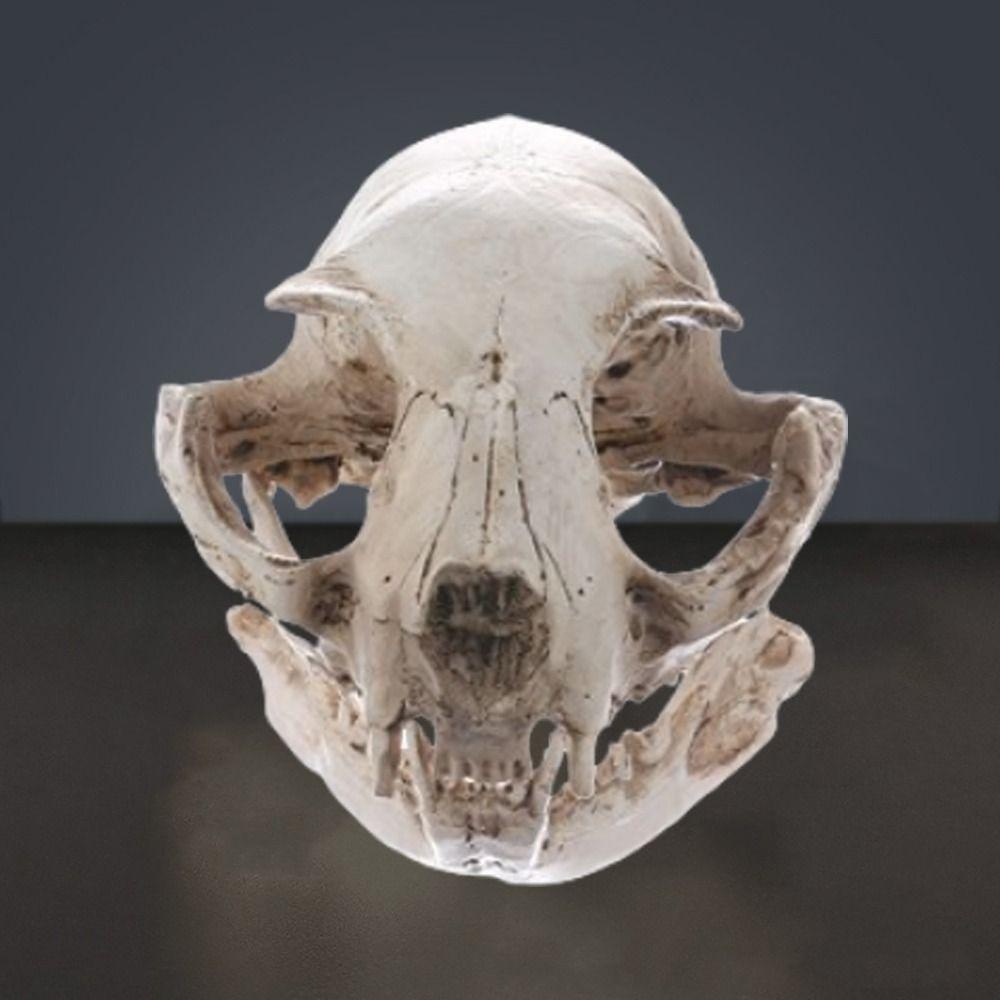 Funny Animal Skull Ornament Scary Artificial Skull Head Halloween Cat Skull Model Haunted House