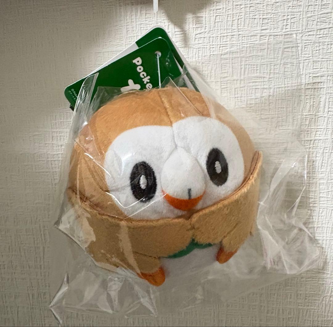 Pokemon plush toy Chokkori-san Rowlet Pocket Monster