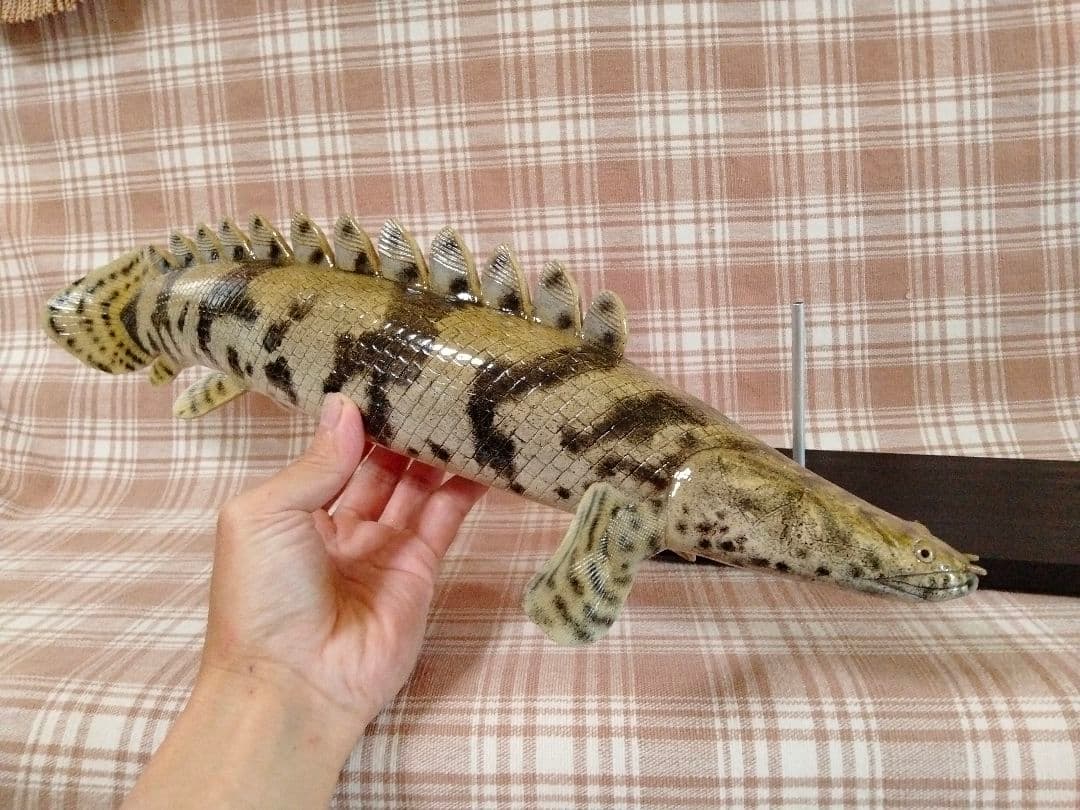 

[USED] Handmade 50cm Polypterus Figure Replica Object Aquarium