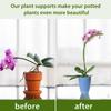Pack Of 20 Flexible Orchid Stakes For Indoor And Outdoor Plants Support Made Of Green Plastic And Metal